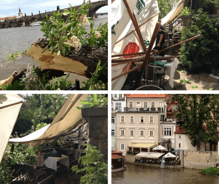 Pictures of the tree that fell on Louise Jenner in Prague and the damage it caused.